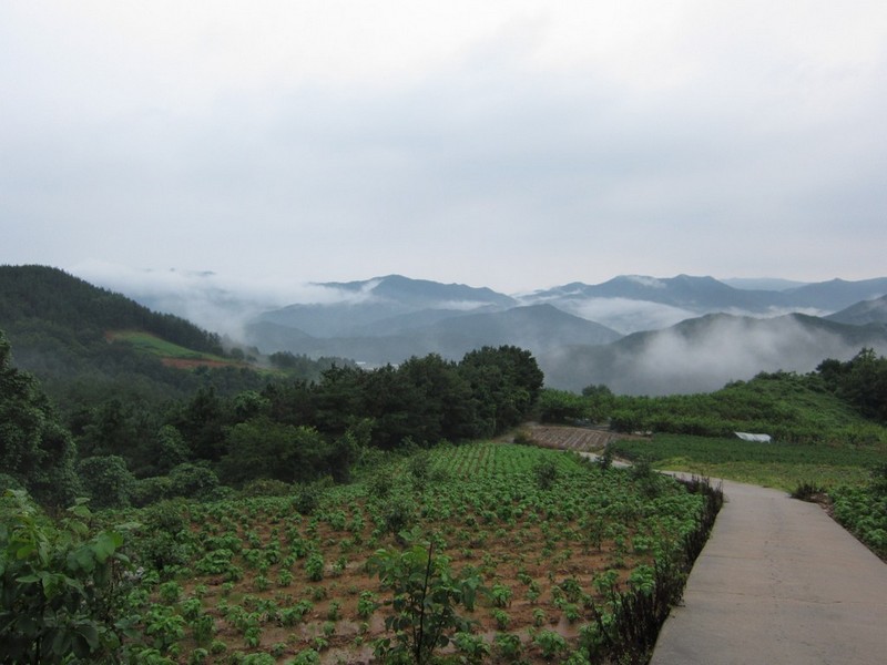 2010-08-14-224.jpg