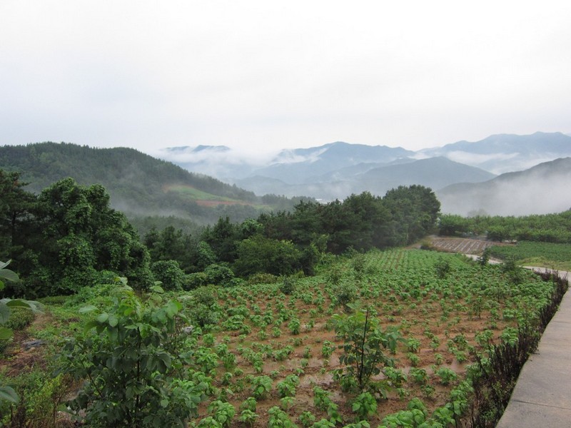 2010-08-14-225.jpg
