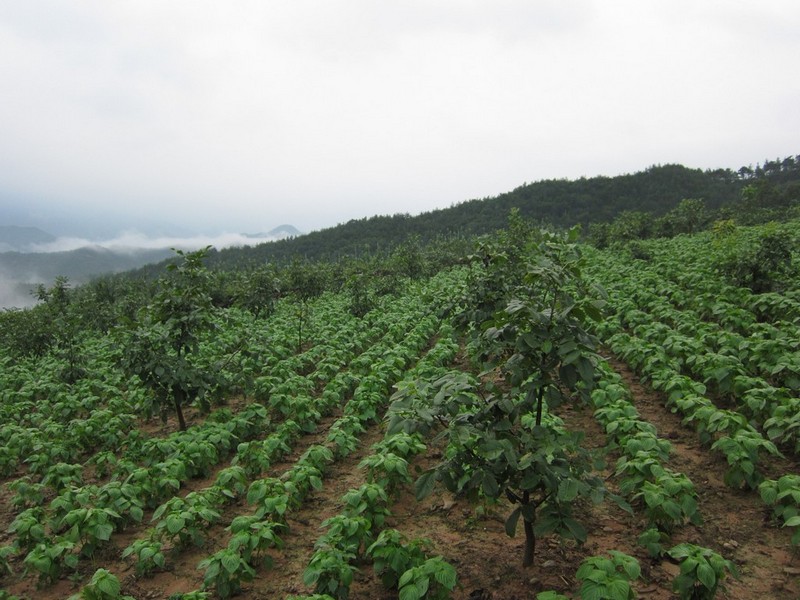 2010-08-14-233.jpg