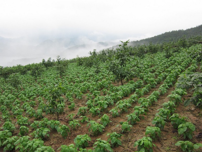2010-08-14-234.jpg