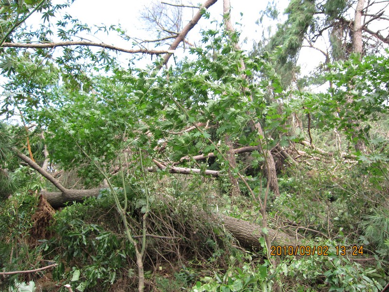 2010-09-02-016.jpg