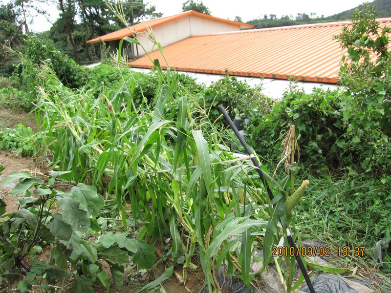 2010-09-02-025.jpg