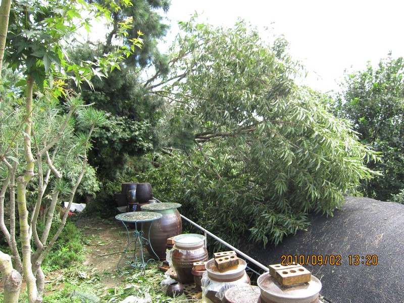 2010-09-02-006.jpg
