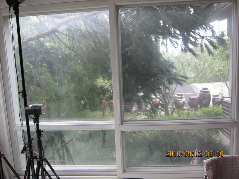 2010-09-02-004.jpg