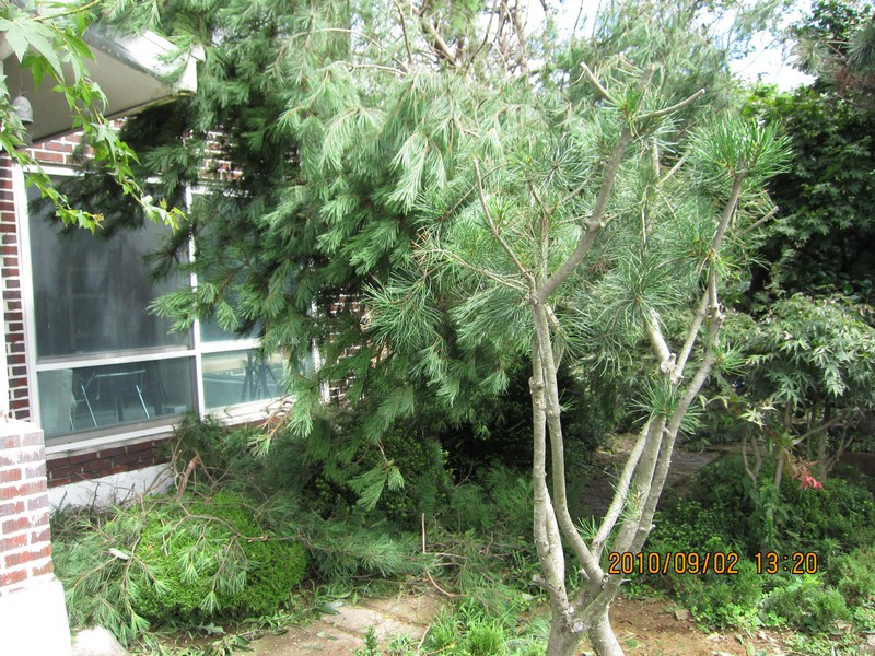 2010-09-02-007.jpg