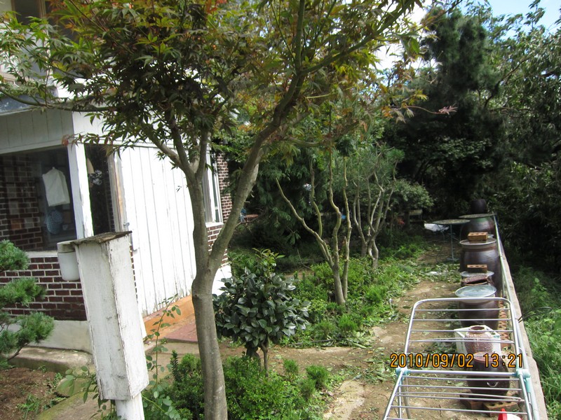 2010-09-02-009.jpg