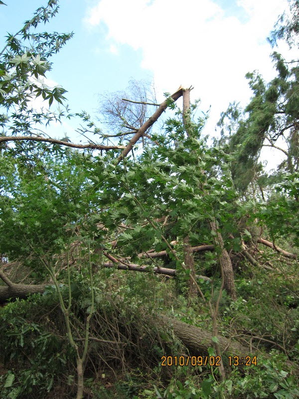 2010-09-02-017.jpg