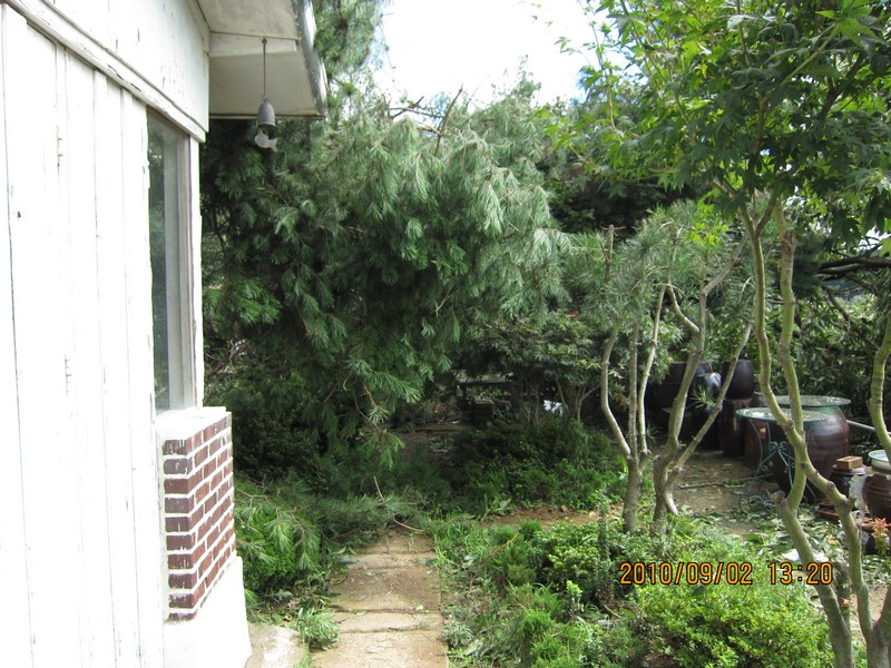 2010-09-02-005.jpg