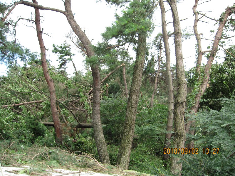 2010-09-02-022.jpg