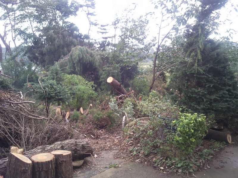 2010-09-02-038.jpg