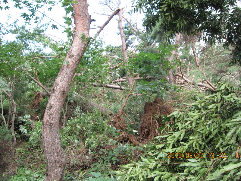 2010-09-02-013.jpg