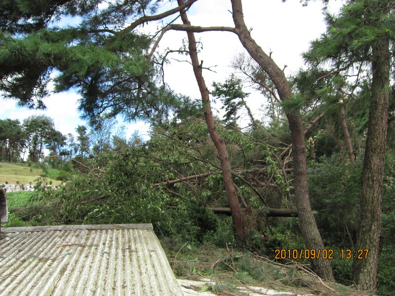 2010-09-02-021.jpg