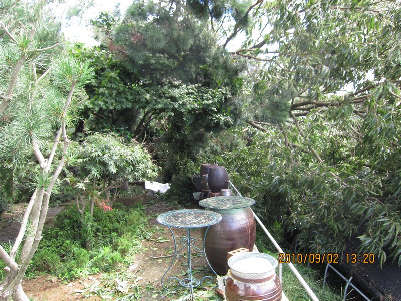 2010-09-02-008.jpg