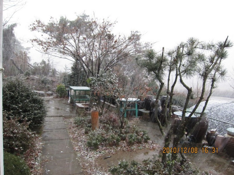 2010-12-08-003.jpg