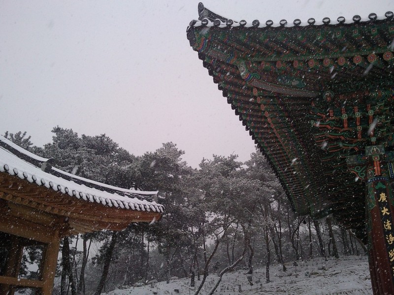 2010-12-17-016.jpg