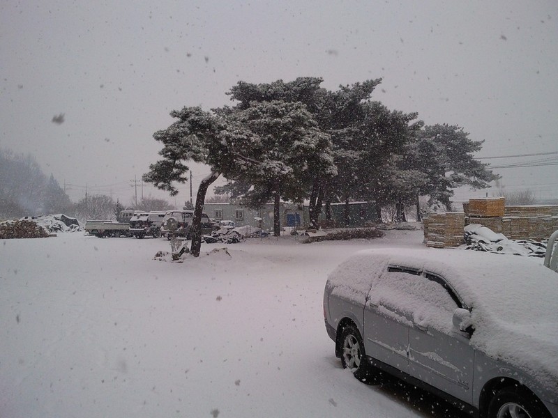 2010-12-17-012.jpg