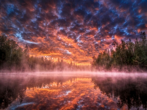 1392385586867_amazing_skies_amazing_reflection_rive_forest.jpg