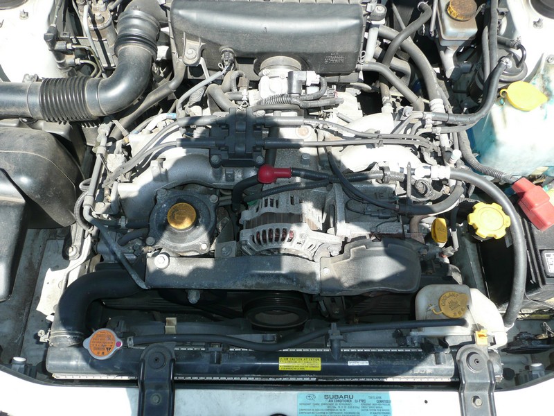 2008-04-17-175.JPG