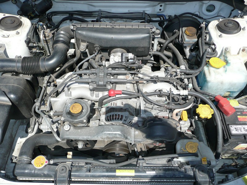 2008-04-17-176.JPG