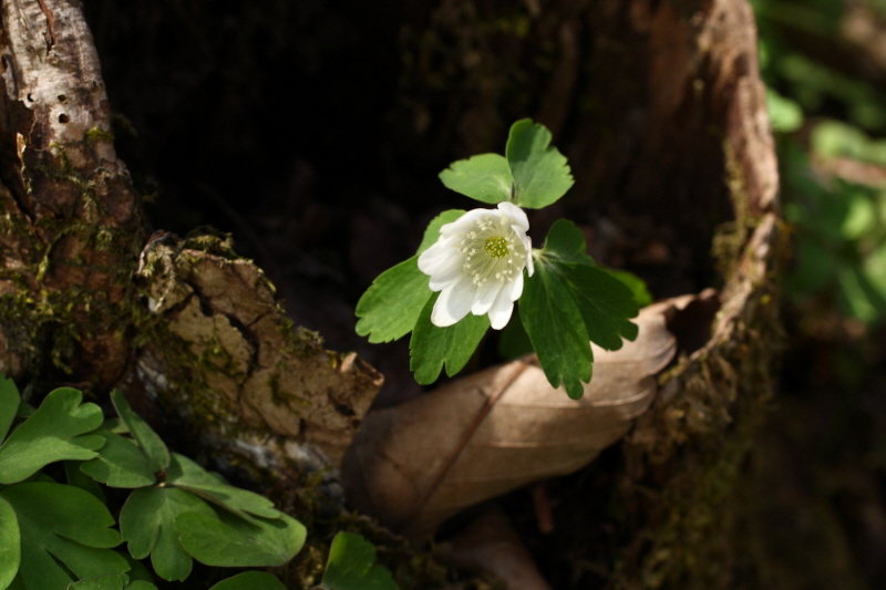 2010-04-26-014.jpg