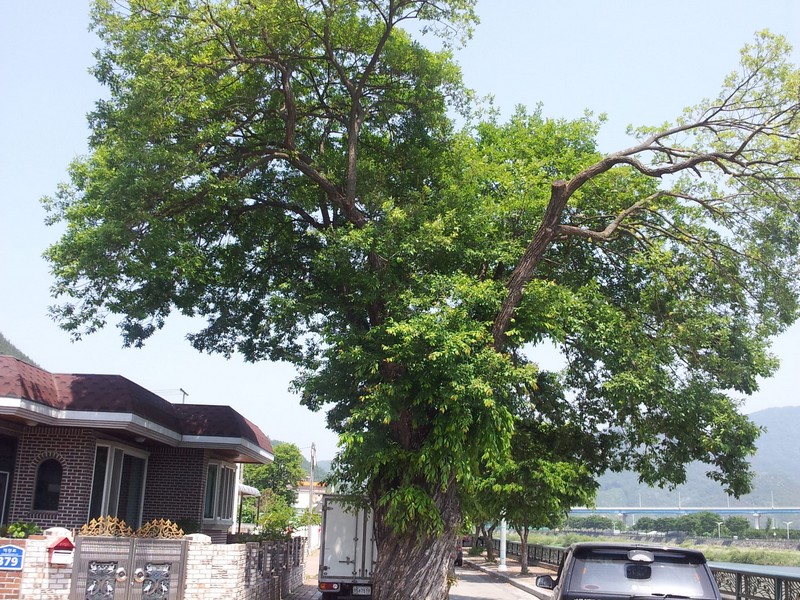 2012-05-27-065.jpg