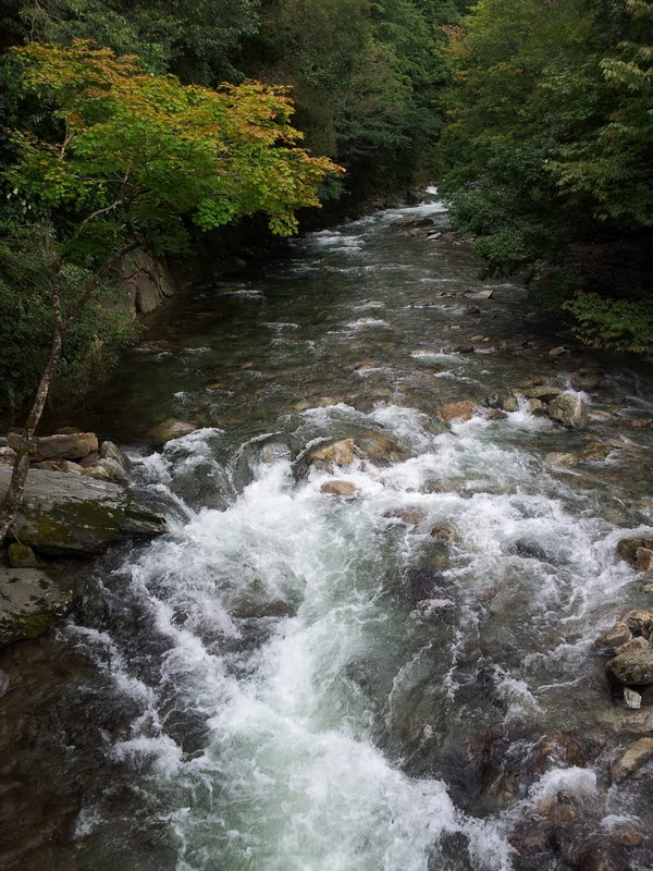 20120918_160549.jpg