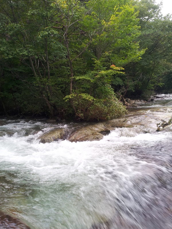 20120918_171039.jpg