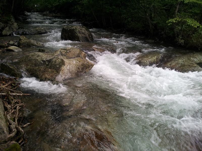 20120918_170800.jpg