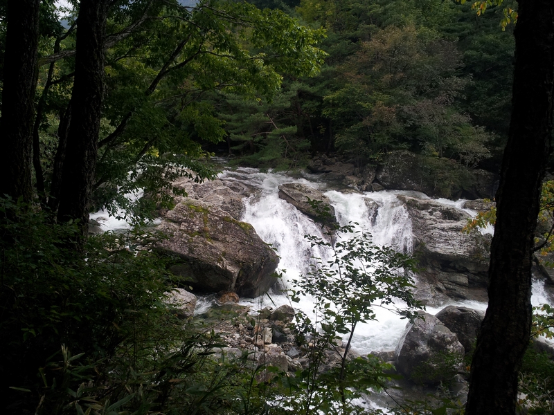 20120918_155611.jpg