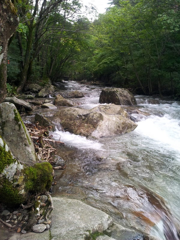 20120918_171036.jpg