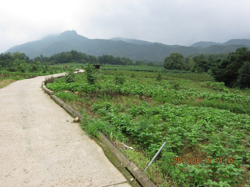 2010-08-15-112.jpg