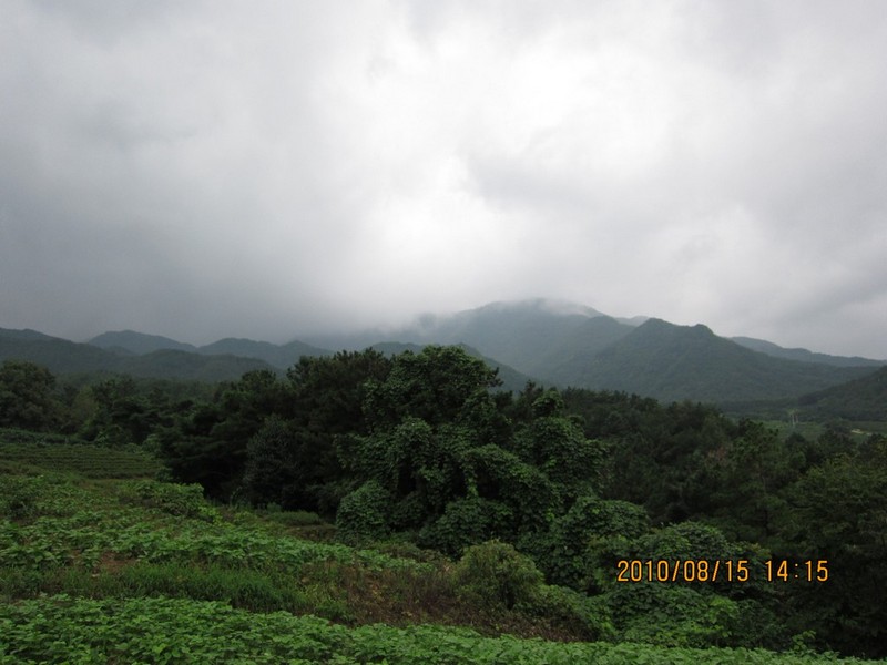 2010-08-15-113.jpg