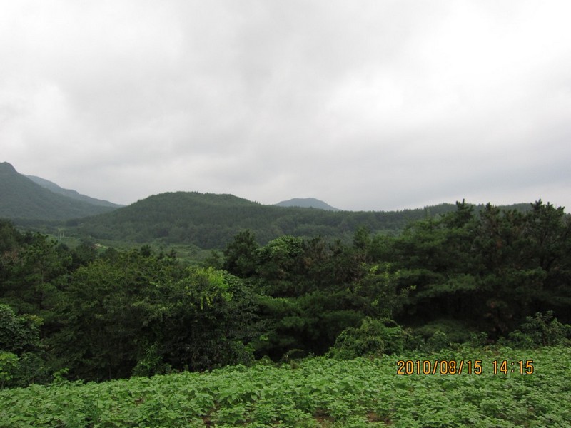 2010-08-15-114.jpg