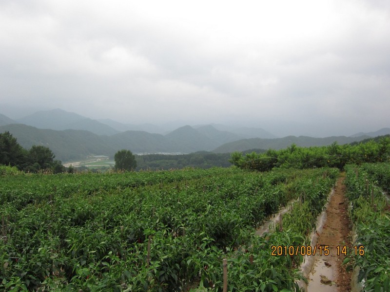 2010-08-15-118.jpg