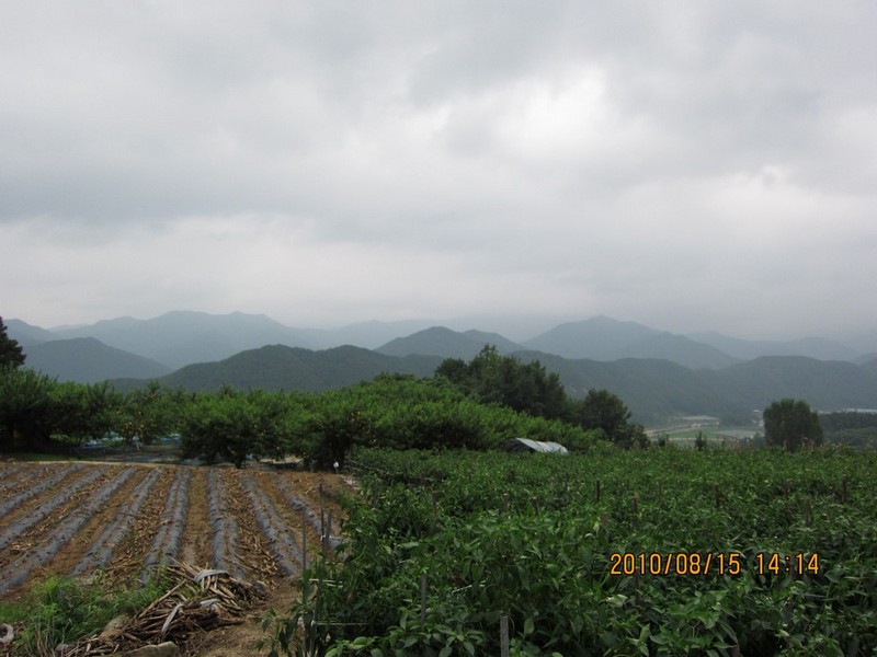 2010-08-15-109.jpg