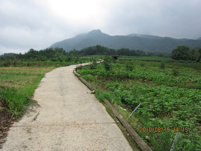 2010-08-15-110.jpg