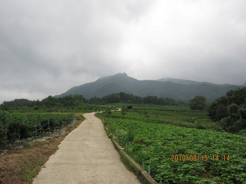 2010-08-15-107.jpg