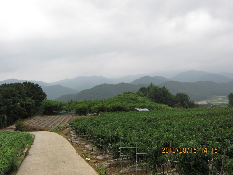 2010-08-15-115.jpg