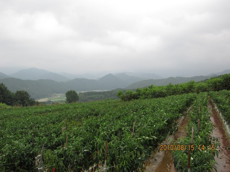 2010-08-15-116.jpg