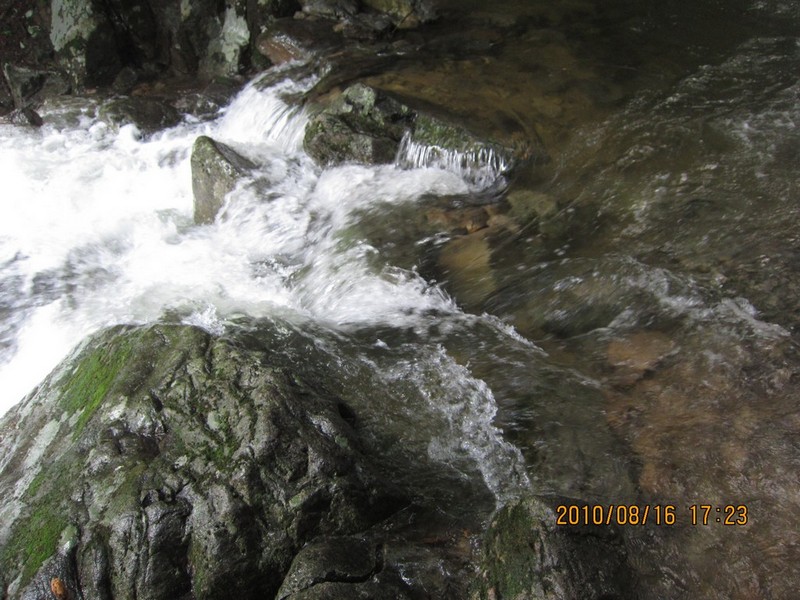 2010-08-16-215.jpg