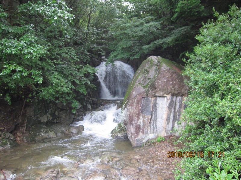 2010-08-16-206.jpg