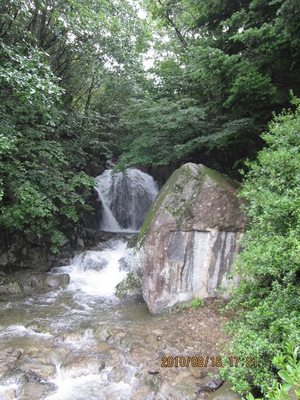 2010-08-16-207.jpg