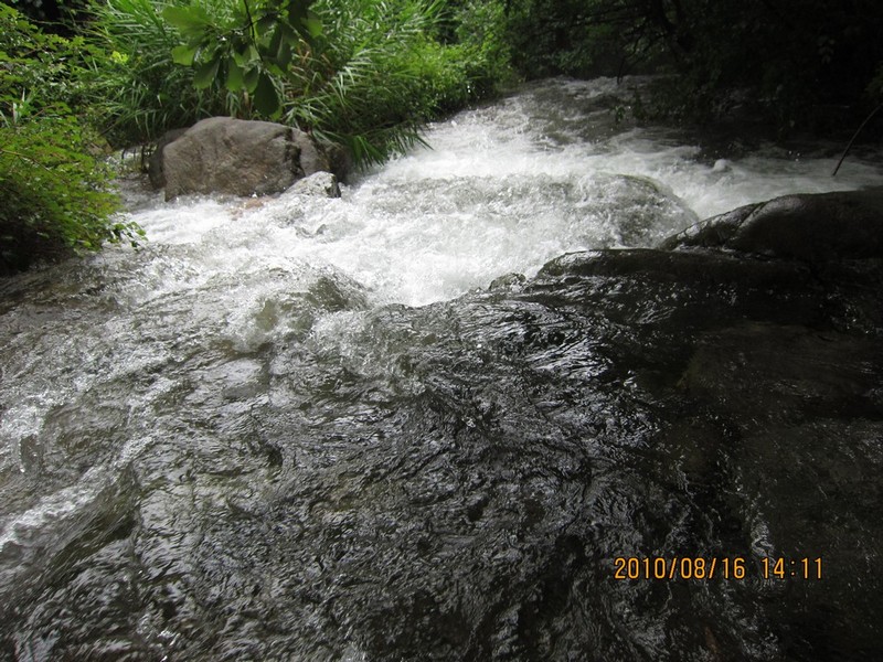 2010-08-16-169.jpg