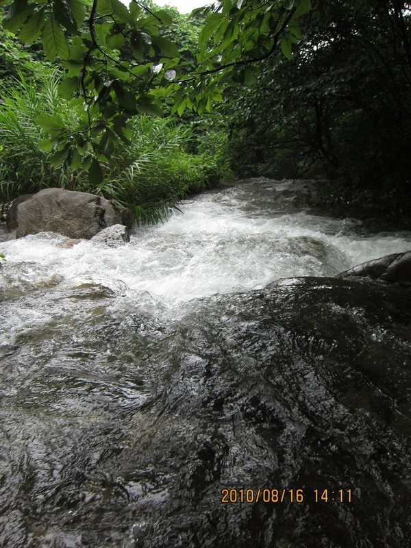 2010-08-16-170.jpg