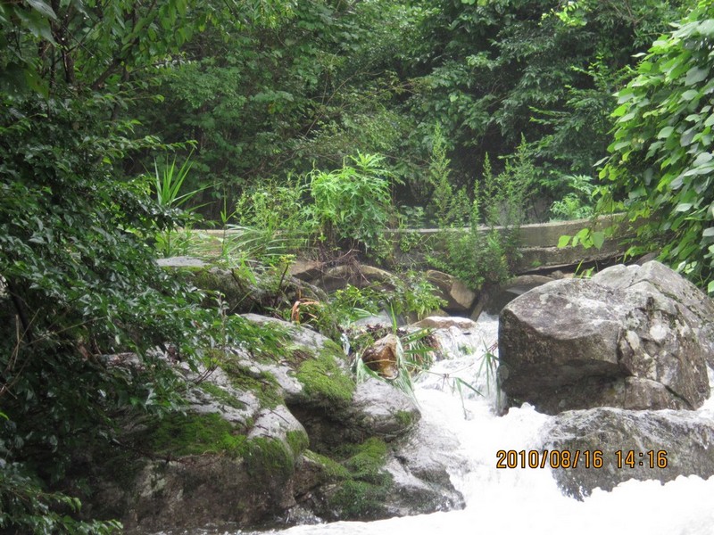 2010-08-16-193.jpg