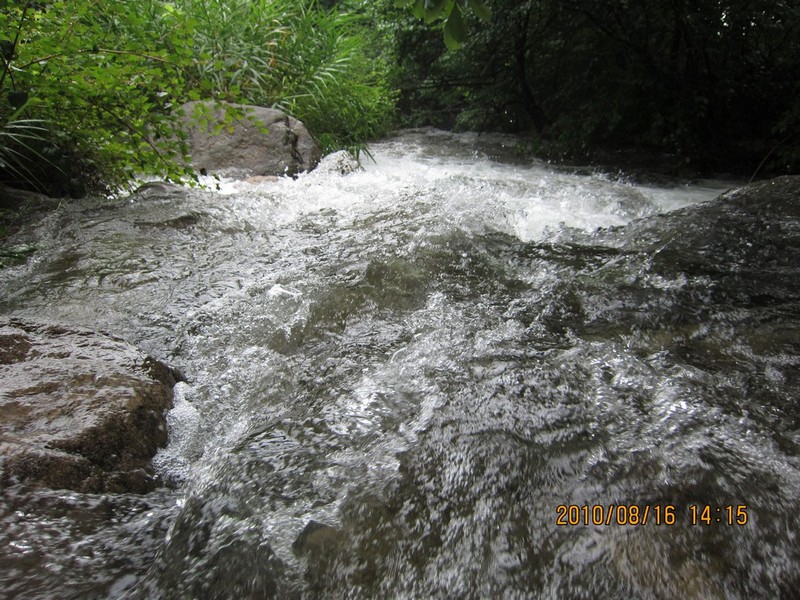 2010-08-16-191.jpg