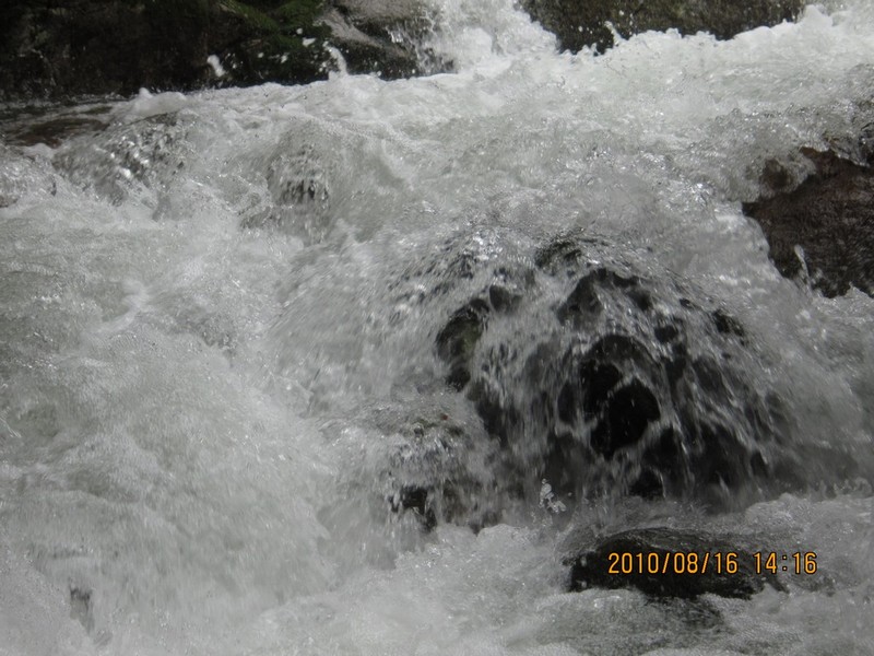 2010-08-16-192.jpg