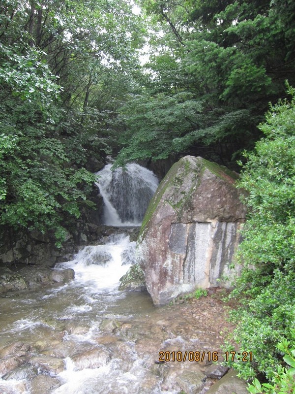 2010-08-16-208.jpg
