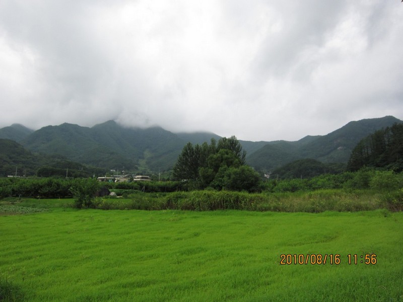 2010-08-16-160.jpg