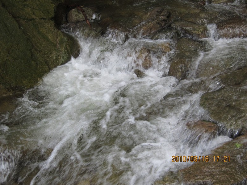 2010-08-16-211.jpg